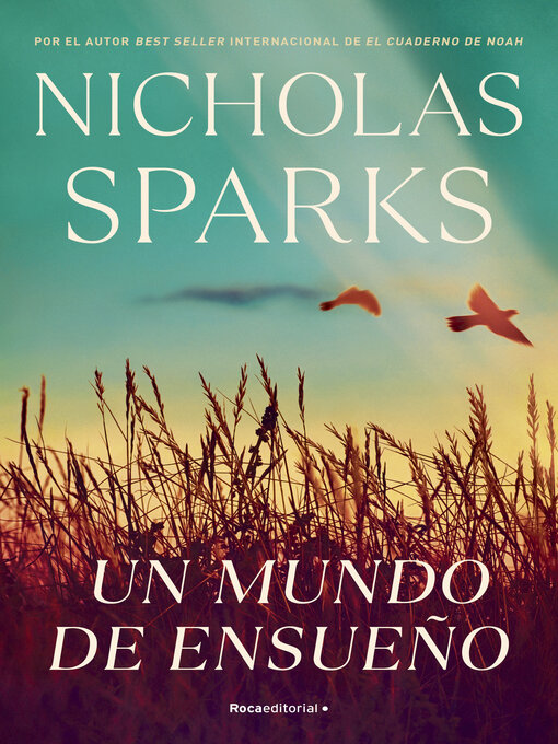 Cover image for Un mundo de ensueño